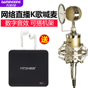 大鳴星（damingxing）  懸掛式 麥克風(fēng) MT2+K650電容麥