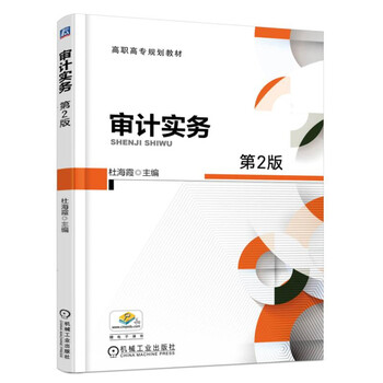 審計實務(wù)