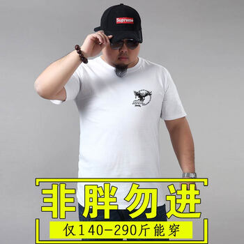 傲信鳥(niǎo) 短袖 男士T恤 小老鷹 白色 
