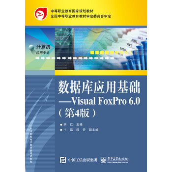 visual foxpro6.0