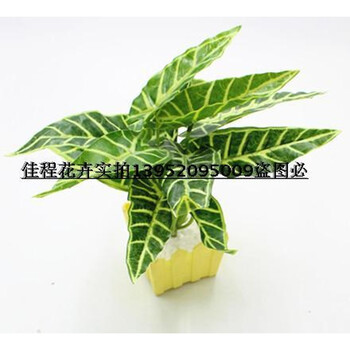 美式田園風(fēng)花瓶，讓生活更精致
