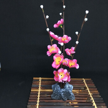 怎么樣,意境,意境,盤飾,盤飾