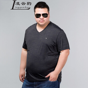 凌云豹（Lingyunbao） 短袖 男士T恤 黑綠 