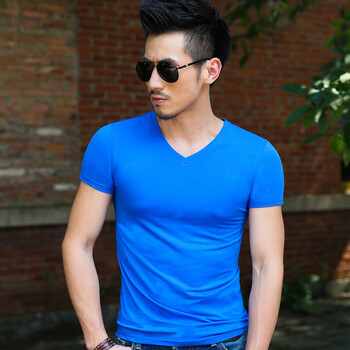 伽維德（JIAWEIDE） 短袖 男士T恤 彩藍85018 