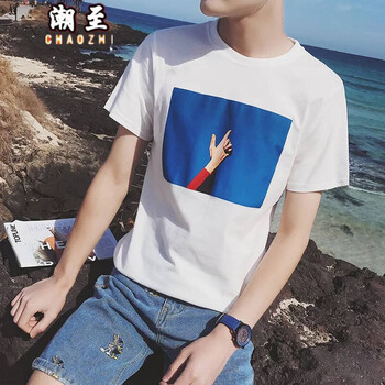 潮至（CHAOZHI） 短袖 男士T恤 19白色 XL，L，XXL，M，XXXL
