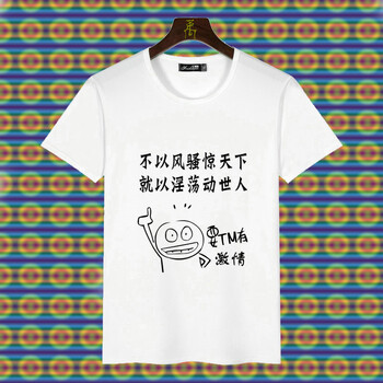 鼎度（DINGDU） 短袖 男士T恤 風(fēng)騷驚天下 