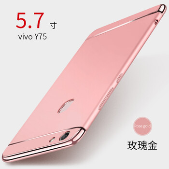 菲利達(dá)（FEILIDA） vivo y75 手機(jī)殼/保護(hù)套