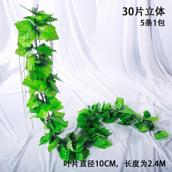 立體藤蔓葉子