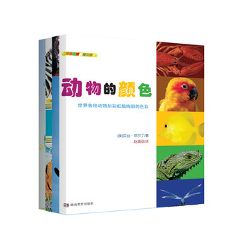動物套裝