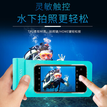 蘋果plus殼竹