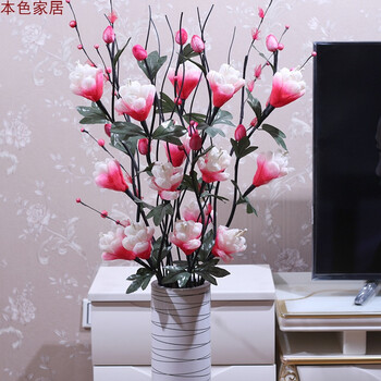 創(chuàng  )意花瓶，為你的家增添色彩