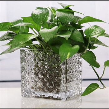 客廳太單調(diào)，創(chuàng)意擺件讓你更有范