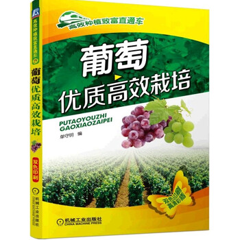 葡萄栽培