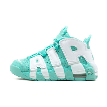 耐克（NIKE）籃球鞋薄荷綠415082-300 