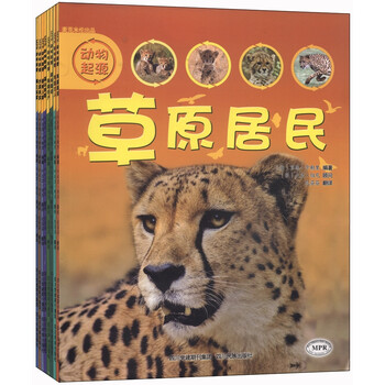 動(dòng)物套裝