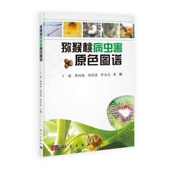 獼猴桃