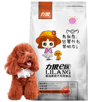 寵物狗貴賓犬