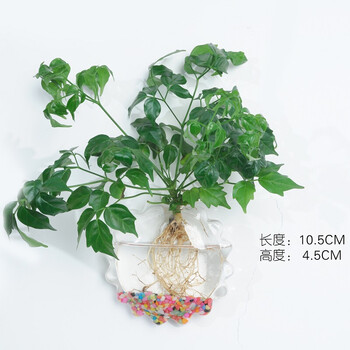 玻璃太陽花