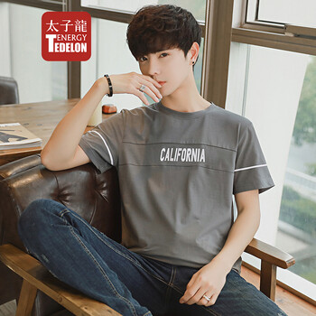 太子龍（TEDELON） 短袖 男士T恤 深灰色 XL，L，M，XXXL，XXL