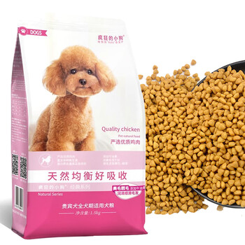 寵物狗貴賓犬