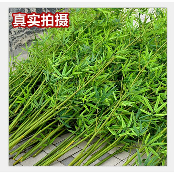 高顏值花瓶，營(yíng)造浪漫家居生活