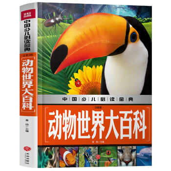 一本