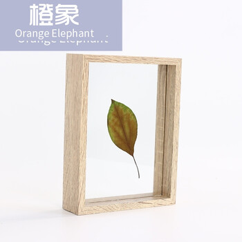 創(chuàng)意植物標本