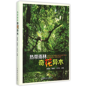 熱帶雨林