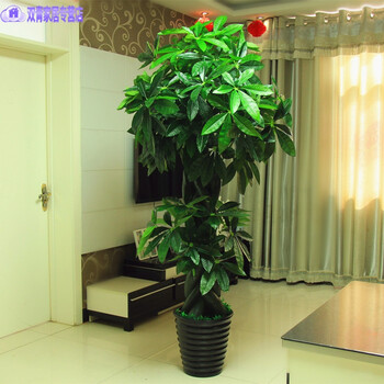 精致花瓶，給你一個浪漫的生活