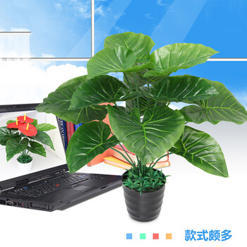 簡(jiǎn)約花瓶，讓你的客廳更精致