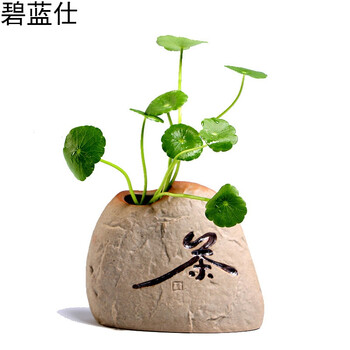 簡(jiǎn)約創(chuàng)意花瓶，裝點(diǎn)你的藝術(shù)生活