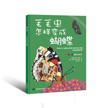 毛毛蟲