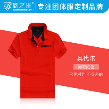 藍(lán)之旺（LANZHIWANG） 刺繡，印花 短袖 T恤 女 翻領(lǐng)