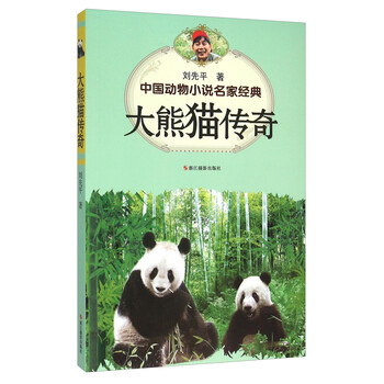 大熊貓傳奇