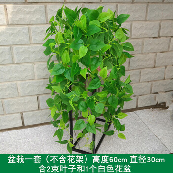 北歐風(fēng)花瓶，讓生活不再單調(diào)盎然