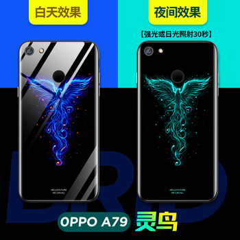 ISIDO oppoa79 手機殼/保護套