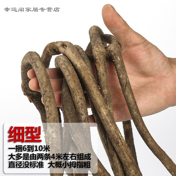 精美玻璃花瓶，提升品味