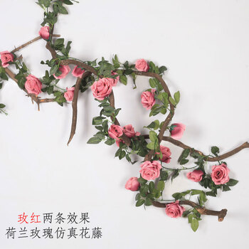 精美花瓶，給你一個(gè)浪漫的家