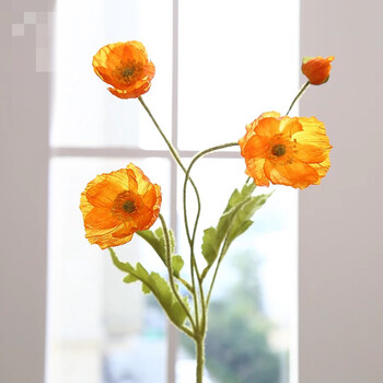 精致花瓶，裝點你的家居藝術(shù)感