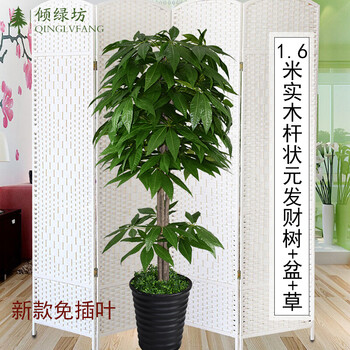 你的花瓶，不能少了它