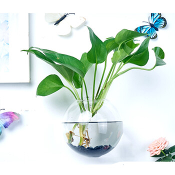 精美花瓶，讓你的家變得更浪漫