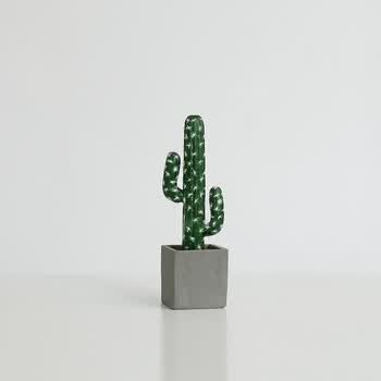 ����,�ű�,����,��ô��,�ű�,ֲ��,ֲ��,�辰,�辰