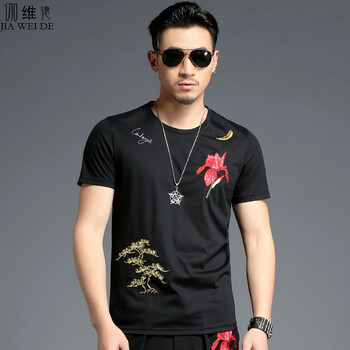 伽維德（JIAWEIDE） 短袖 男士T恤 T恤 XL，L，XXL，XXXL，加大，M
