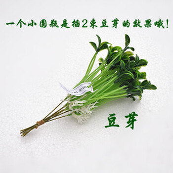 創(chuàng)意環(huán)保塑料擺件，讓生活更簡單