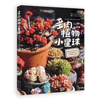 多肉植物小
