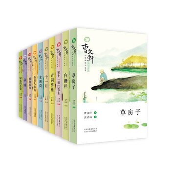 小說本