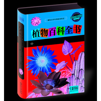 彩書(shū)坊