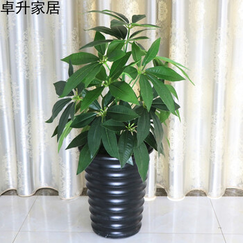 精美花瓶，讓你愛上藝術(shù)生活