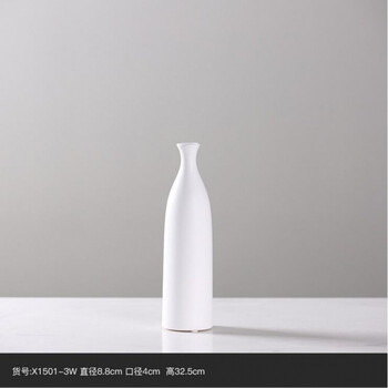 精美創(chuàng)意花瓶，裝點你的文藝生活