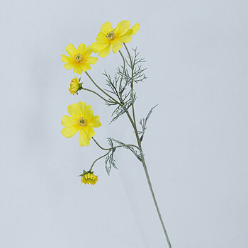 精致花瓶，讓你的生活更有情調(diào)